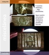 Litofanías por encargo de KIROLAB 3D